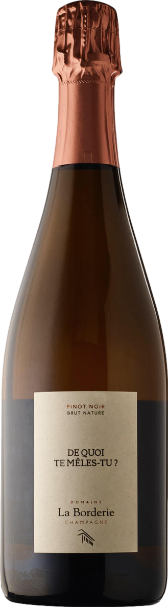 Champagne Domaine la Borderie De Quoi Te Meles Tu Blanc de Noirs Extra Brut